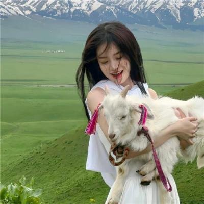 隔离故事 封面